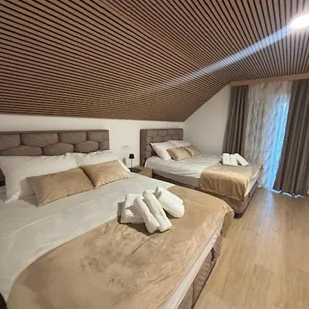 O Terme Olimia Apartman *